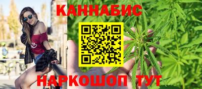 стафф Будённовск