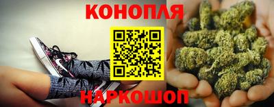стафф Будённовск