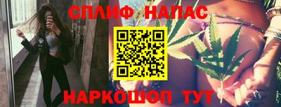 стафф Будённовск