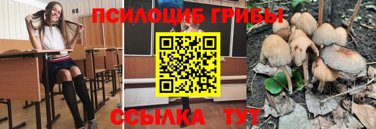 Псилоцибиновые грибы мухоморы Россошь