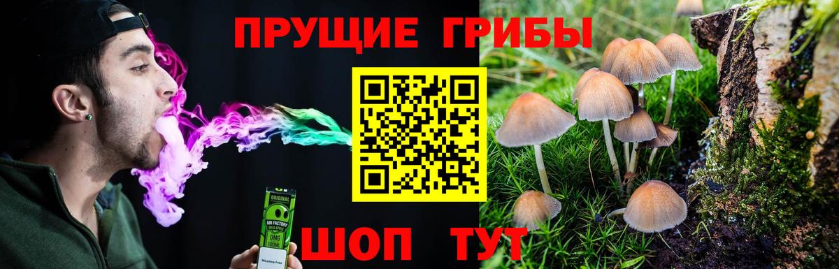 Россошь  Галлюциногенные грибы Psilocybine cubensis  Вход с VPN  Псилоцибиновые грибы Magic Shrooms 
